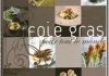 Foie Gras pour Tout le Monde : un nouveau livre !