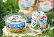Des petites tartines toutes douces au fromage frais au de brebis