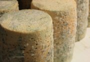 AOP Fourme d'Ambert et Visite en Auvergne