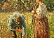 Les petits pois, par Philippe Delerm et Camille Pissaro